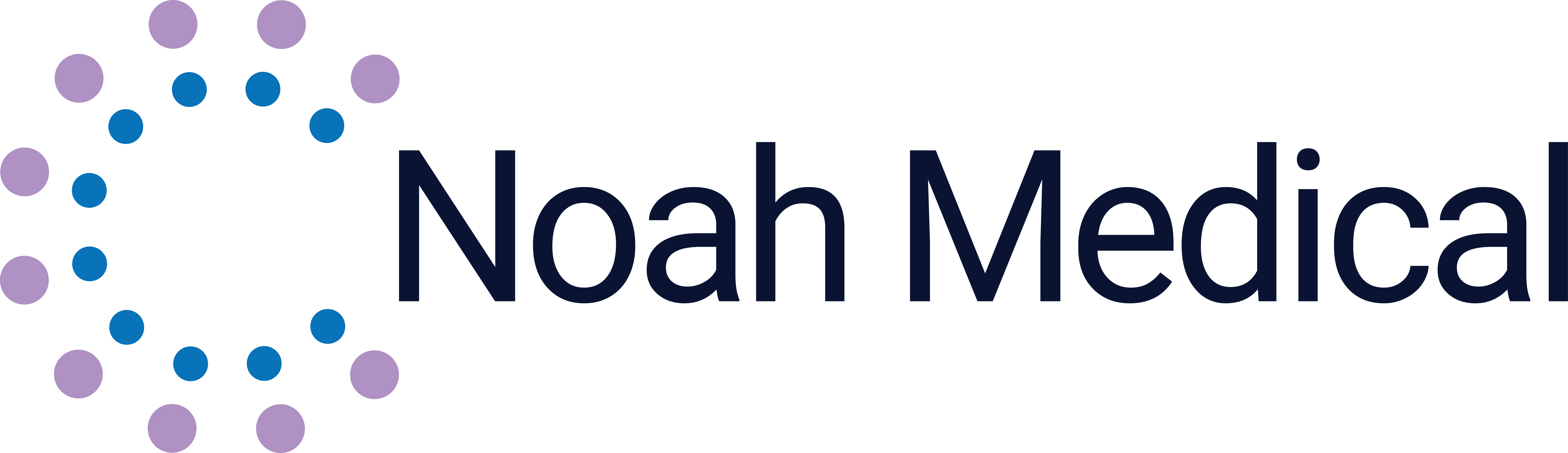 Noah Medical Logo